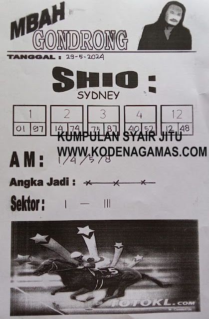 SYAIR SDY VIP